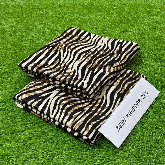 2 Piece Zeen Khaddar Allover